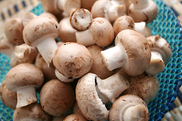 Image showing fresh mushrooms