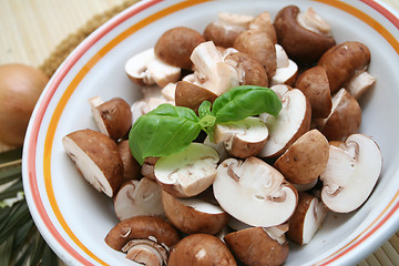 Image showing brown mushrooms