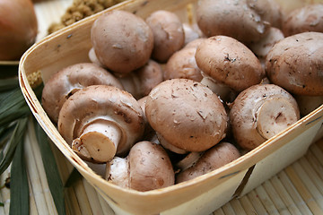 Image showing brown mushrooms