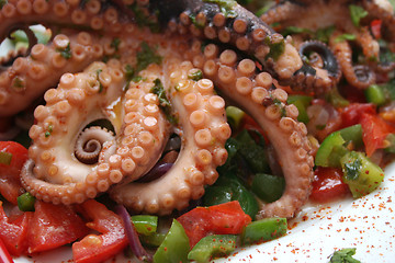 Image showing An octopus and vegetables