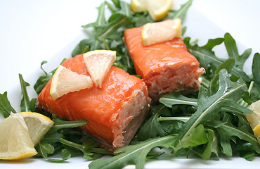 Image showing Salmon