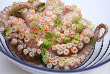 Image showing raw octopus