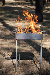 Image showing burning fire wood