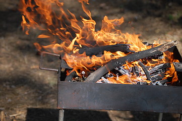 Image showing burning fire wood