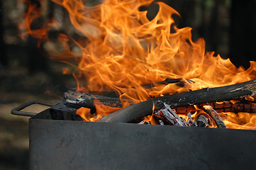 Image showing burning fire wood