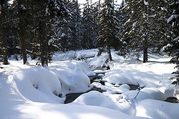 Image showing Brook in winter