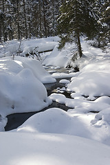 Image showing Brook in winter