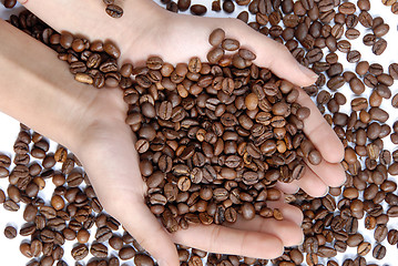 Image showing Coffee beans in hands