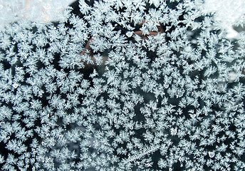 Image showing Frost on glass