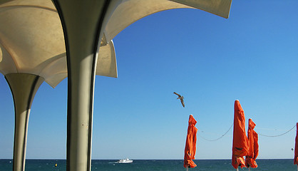 Image showing Umbrellas and sea