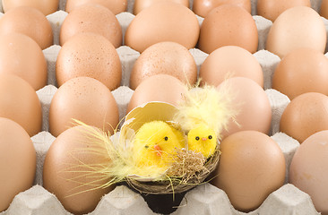 Image showing Easter Chickens