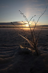 Image showing Sunset over frozen lake