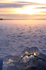 Image showing Sunset over frozen lake