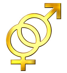 Image showing 3D Golden Gender Union