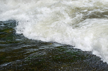 Image showing white water rapids