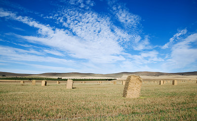 Image showing rural farm landscape