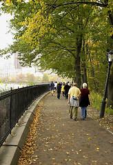 Image showing Joggers and walkers