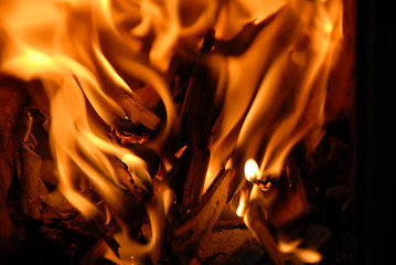 Image showing Fire