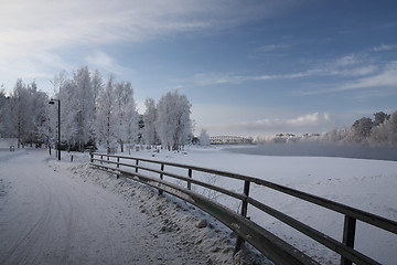 Image showing Cold day