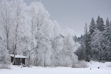 Image showing House in winter