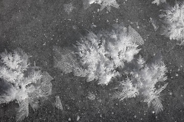 Image showing Frost crystals