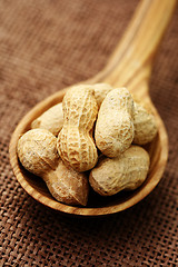 Image showing peanuts