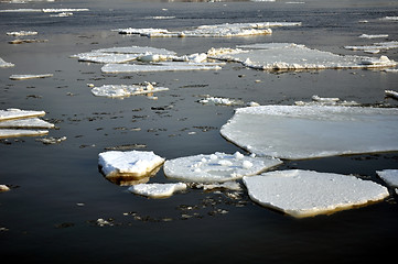 Image showing Ice blocks in river