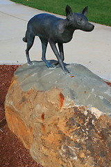 Image showing Fox Statue