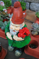 Image showing Garden Gnome