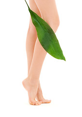 Image showing female legs with green leaf