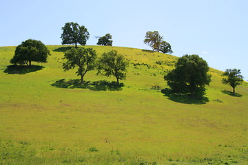 Image showing Hilltop With Trees