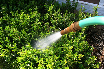 Image showing Water Hose