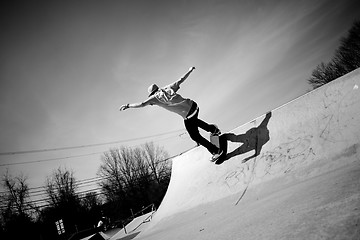 Image showing Skateboard Ramp