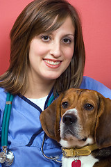 Image showing Veterinarian With a Beagle