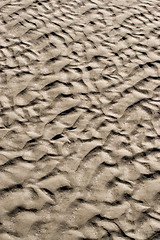 Image showing Sand Ripples Texture