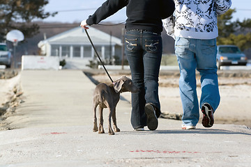 Image showing Walking The Puppy