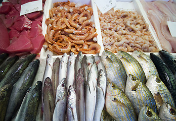 Image showing seafood