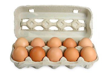 Image showing Fresh Eggs