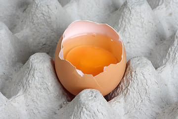 Image showing Fresh eggs