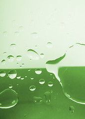 Image showing Water drops on green background
