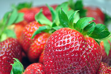 Image showing Fresh strawberries