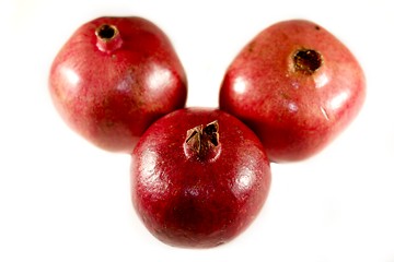 Image showing Pomegranate