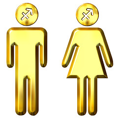 Image showing 3d golden Sagittarius man and woman 