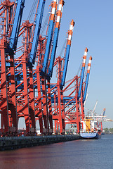 Image showing Container cranes