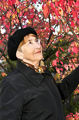 Image showing Senior woman in fall park