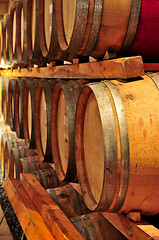 Image showing Wine barrels