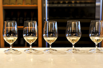 Image showing Wine tasting glasses