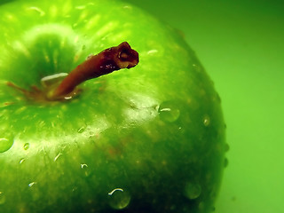 Image showing Green apple