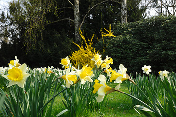 Image showing Spring in Park 