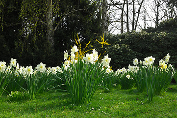 Image showing Spring in Park 